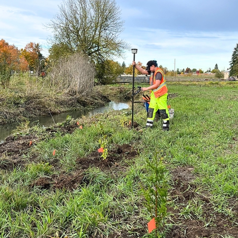 person at streamside planting trees